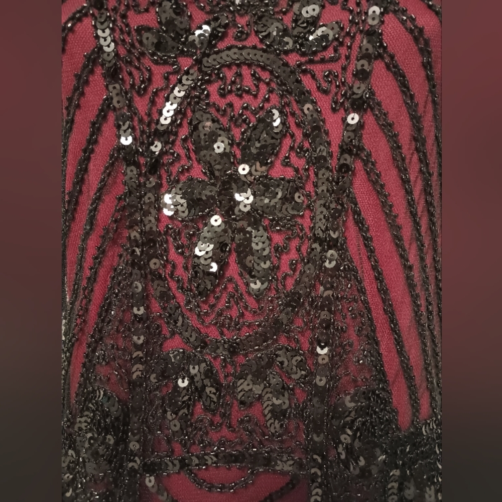 Nwt 1920s Gatsby Style Flapper Sequin Dress - image 3